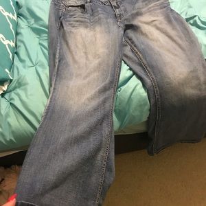 Lane Bryant bootcut Jeans